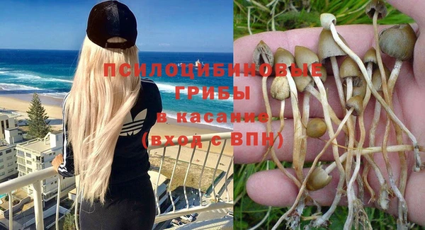 2c-b Алексеевка