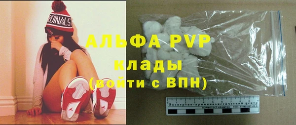 шишки Алексин