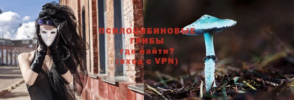 шишки Алексин