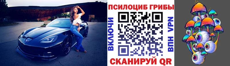 как найти   Анжеро-Судженск  сайты даркнета формула  Галлюциногенные грибы MAGIC MUSHROOMS 